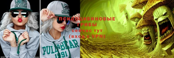 a pvp Алексин