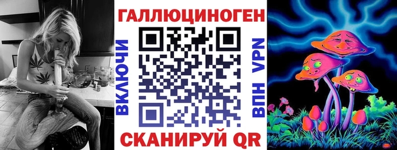 дарнет шоп  Асино  Псилоцибиновые грибы ЛСД 